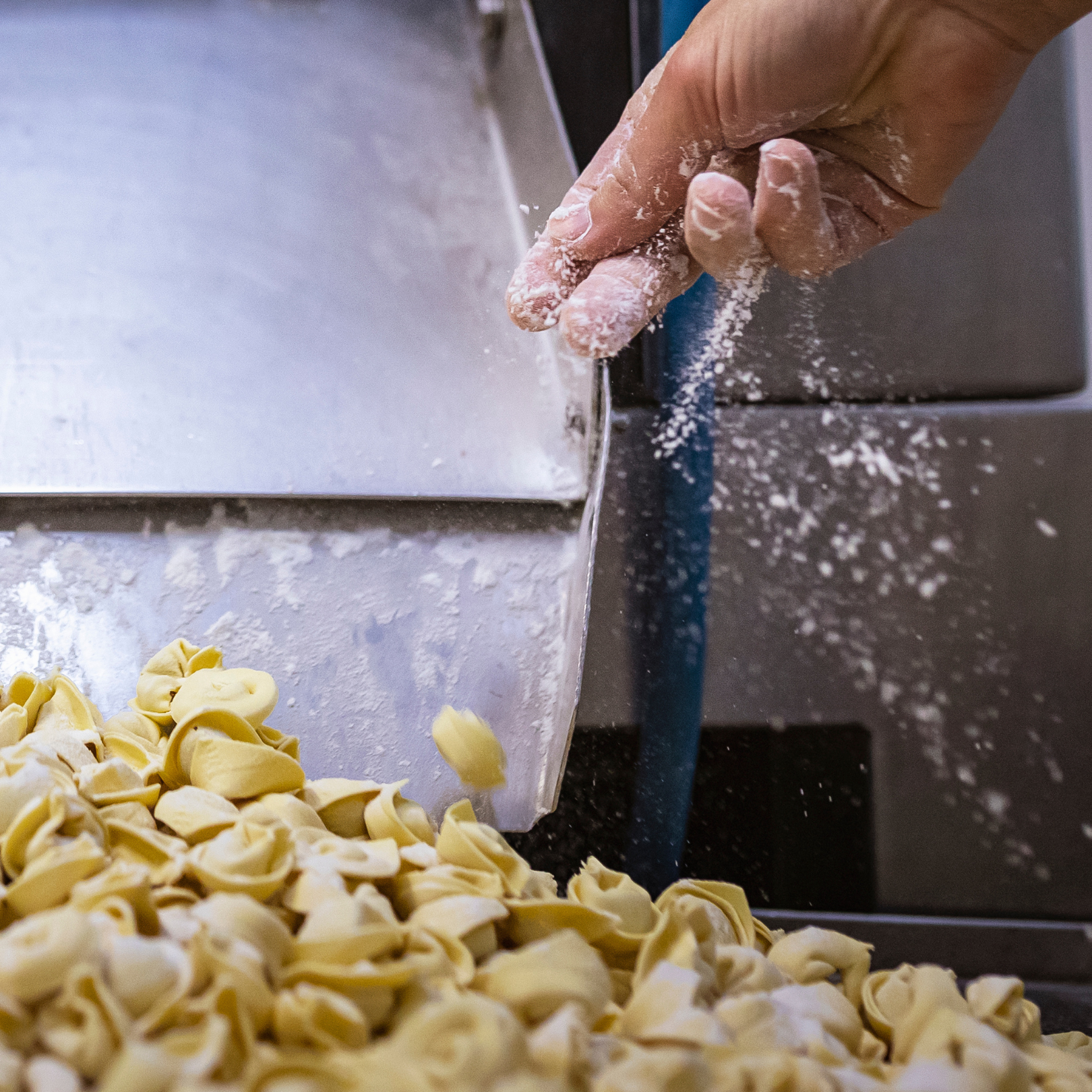 Eine Hand bestreut frisch hergestellte Tortellini mit Mehl in einer Nudelmanufaktur.