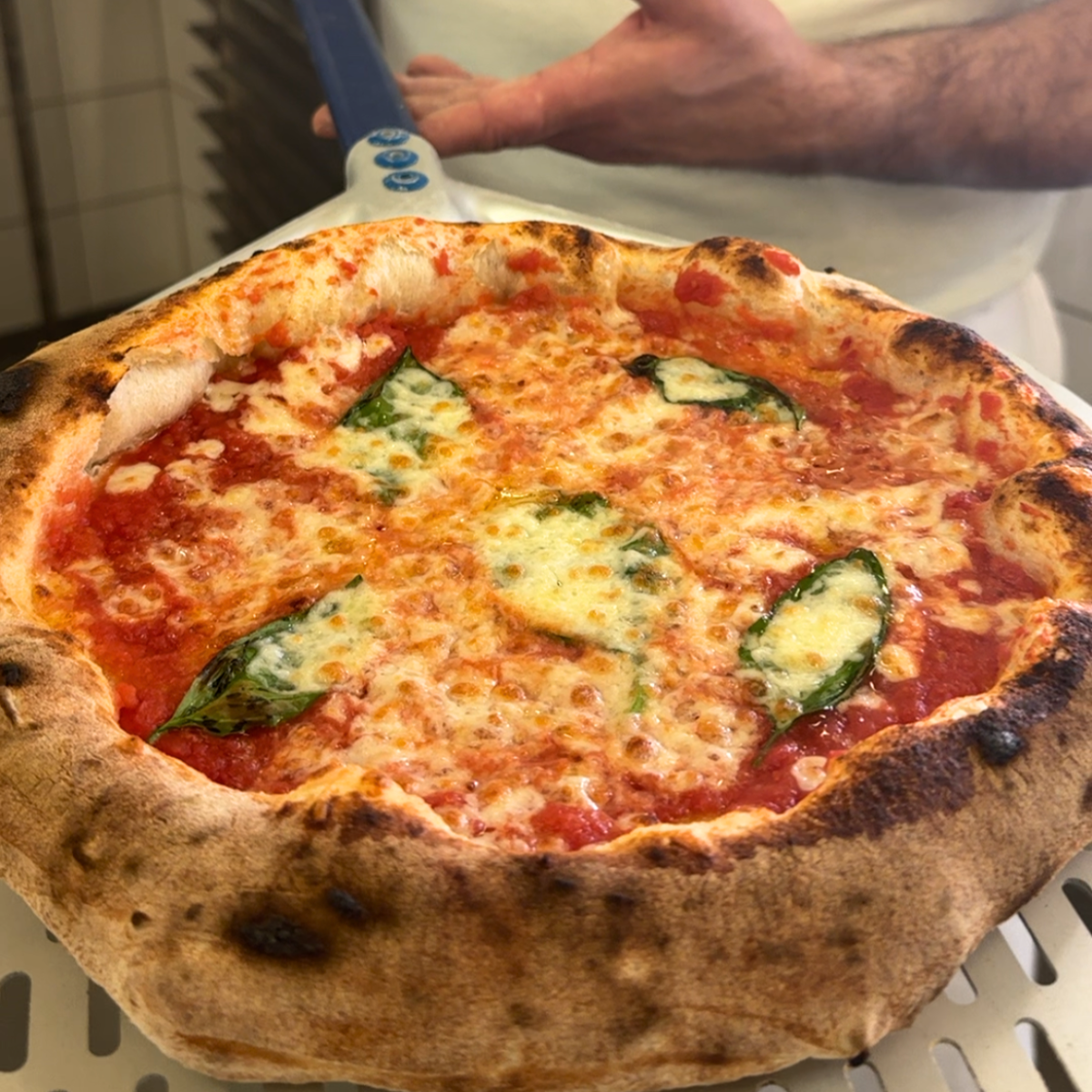 Ein Pizzabäcker hält eine frisch gebackene Pizza Margherita auf einem Pizzaschieber in der Küche.