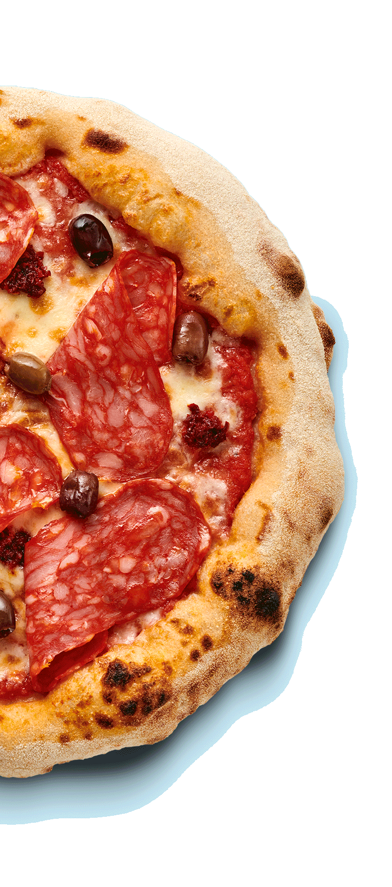 Nahaufnahme einer Pizza mit Salami, Oliven und Käse auf einem hellblauen Hintergrund.