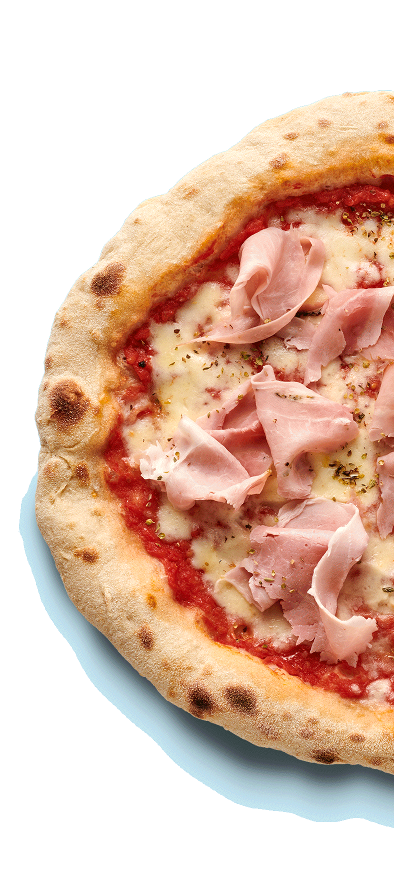 Nahaufnahme einer Pizza mit Tomatensauce, geschmolzenem Käse und Schinkenscheiben auf hellblauem Hintergrund.