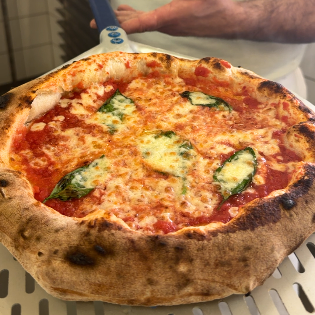 Eine frisch gebackene Pizza Margherita mit Basilikum und geschmolzenem Käse auf einer Schaufel.