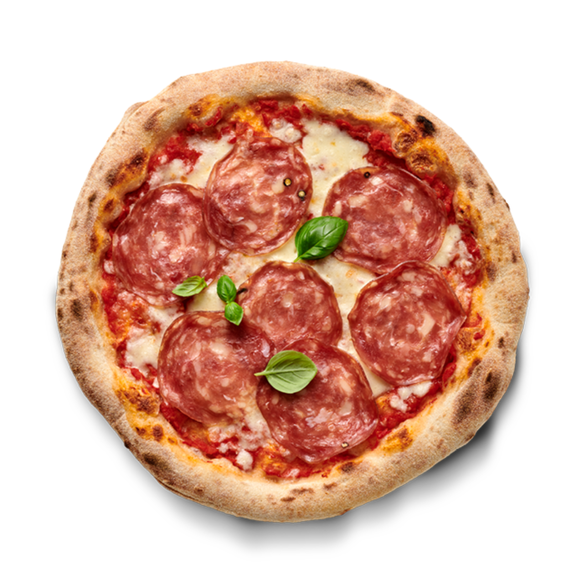 Teichner’s Salami Bundle