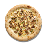 Fantastic Funghi
