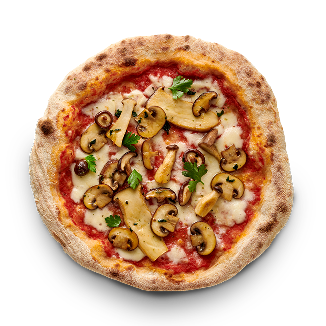 Vegetarian Bundle