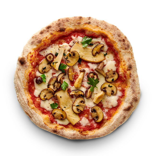 Premium Bundle mit gratis Pizzateller (13er Bundle)