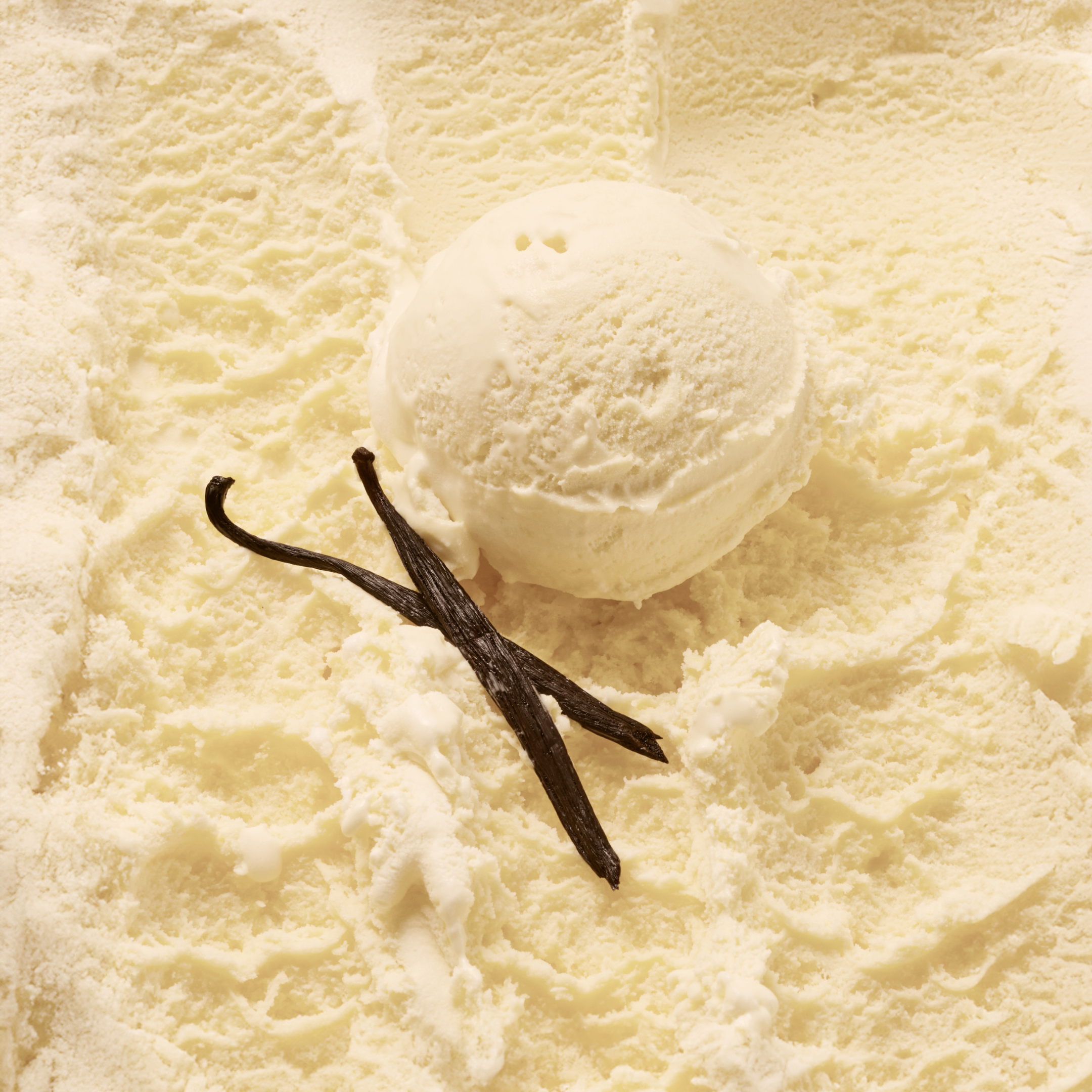 Low Sugar Vanilla Gelato