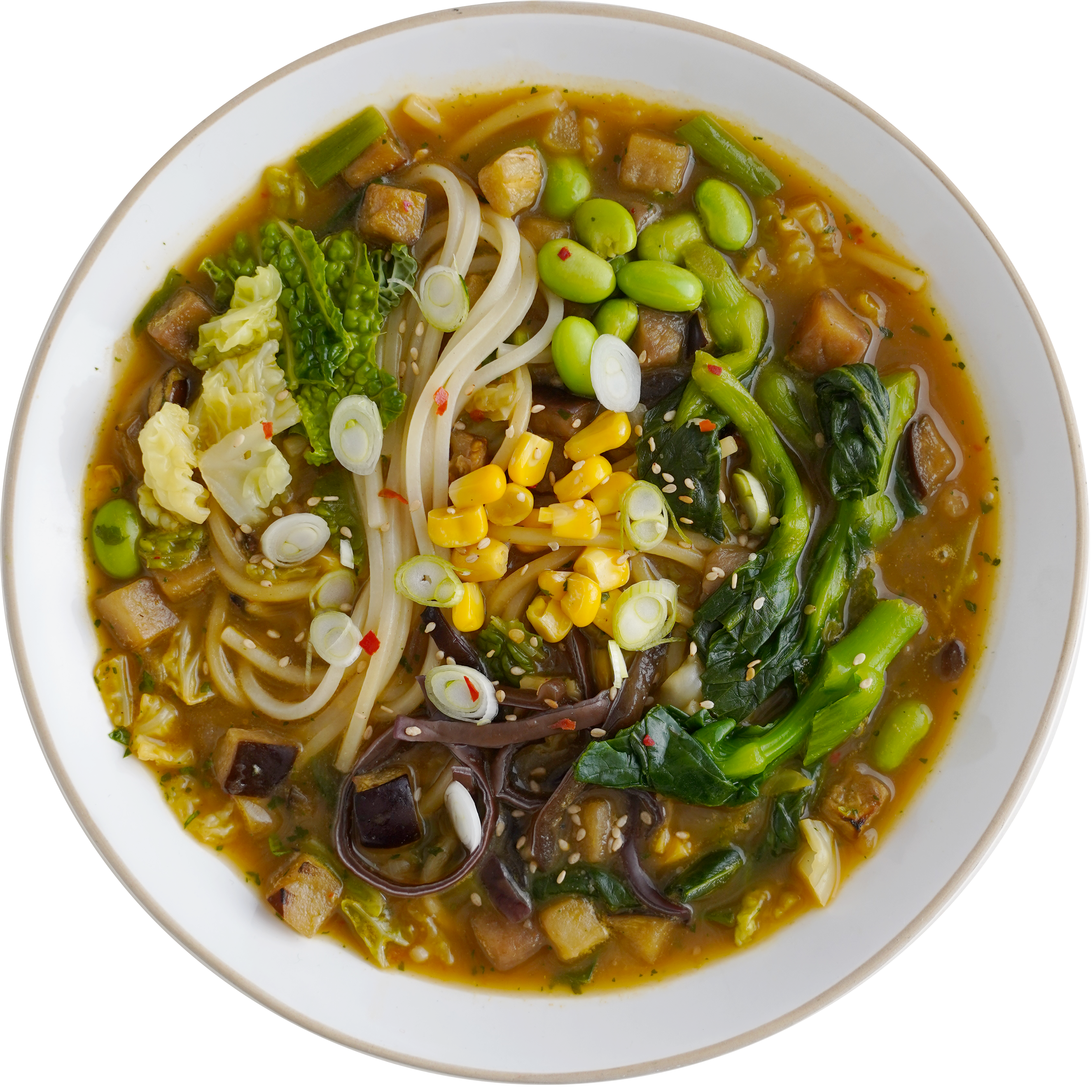 Bunter Teller mit Gemüse-Ramen: Nudeln, Edamame, Mais, Frühlingszwiebeln, Kohl und grünes Blattgemüse in Brühe.