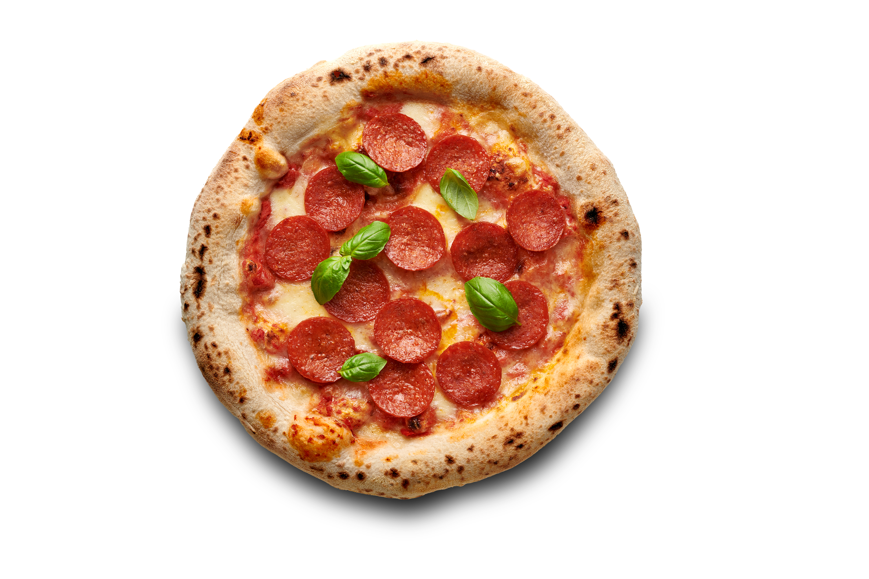 Teichner’s Salami Bundle