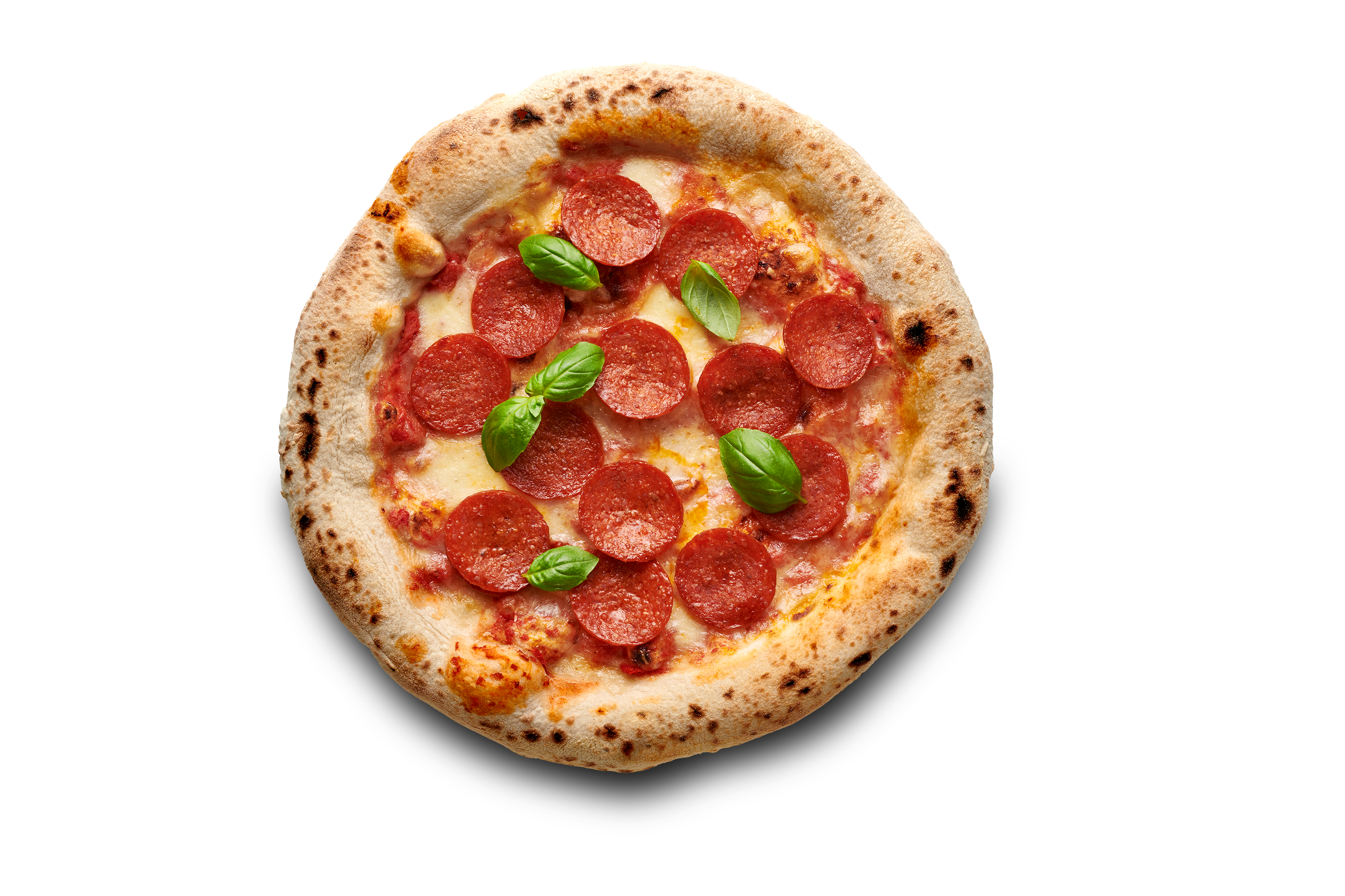 Teichners Mix + gratis Pizzateller (9er Bundle)