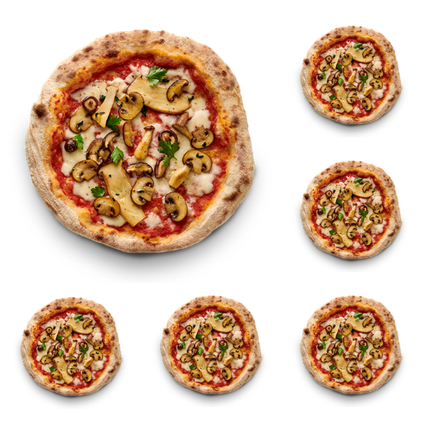 Fantastic Funghi (6er Bundle)