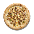 Fantastic Funghi