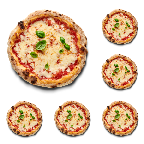 Queen Margherita (6er Bundle)